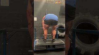 Belt Squat RDL