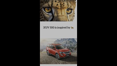 Roaring Power: The Evolution of the Cheetah-Inspired XUV500