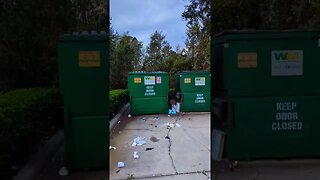 buzzard and dumpster