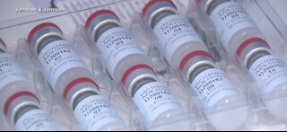 Johnson & Johnson vaccine: FDA report finds single-shot vaccine to be safe, effective