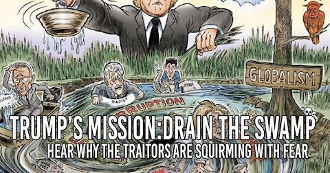 Trump's Mission: Drain the Swamp