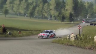 DiRT Rally 2 - Replay - Peugeot 206 at Verbundsring Reverse