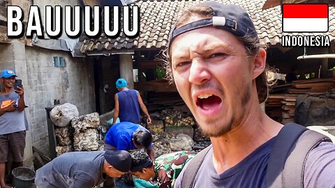 FOREIGNERS Work On A FARM In INDONESIA [Episode 9]