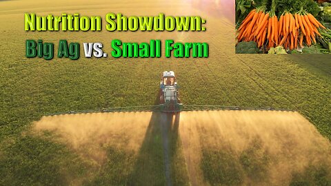 Small Farm vs Big Ag: Nutritional Showdown