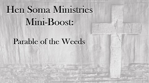 Hen Soma Ministries Mini-Boost: Parable of the Weeds