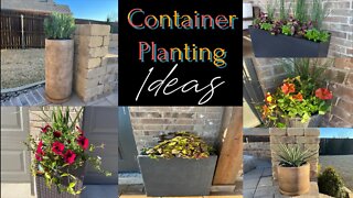 Container Planting Ideas