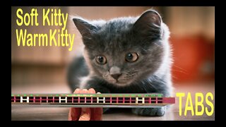 Harmonica TABS for Soft Kitty Warm Kitty on a Tremolo Harmonica with 24 Holes