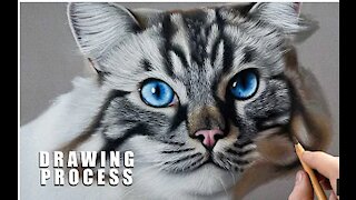 PHOTO-REALISTIC CAT DRAWING | Color Pastel Pencil Animal Art - Time-Lapse