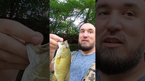 Discount brand baits still catch smallmouth!!!