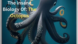 The Insane Biology Of: The Octopus