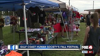 Gulf Coast Humane Society hosts fall festival