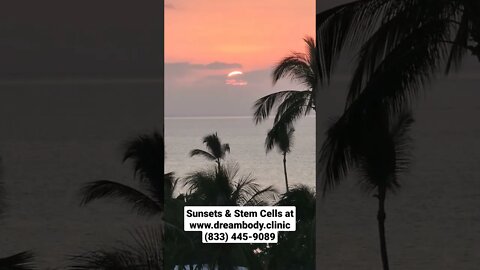 Sunsets & Stem Cells #stemcells #stemcelltherapy #regenerativemedicine #sunset