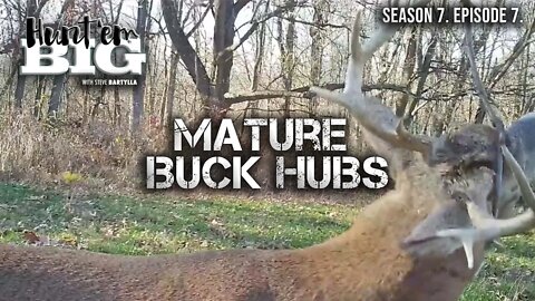 Create Mature Buck Hubs With These Tips