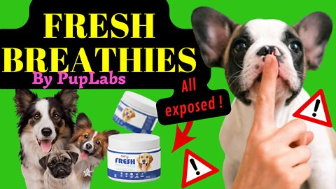FRESH BREATHIES REVIEW - Fresh Breathies IS GOOD? Fresh Breathies by PupLabs WORK?