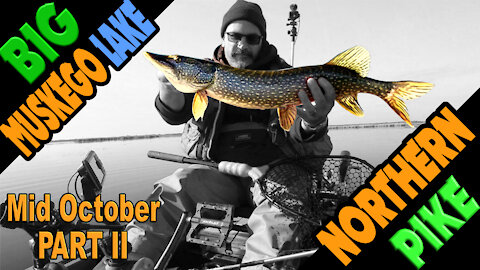Kayak Pike Fishing Big Muskego Lake Part 2 (Southeast Wisconsin) during the October 2020 feedbag