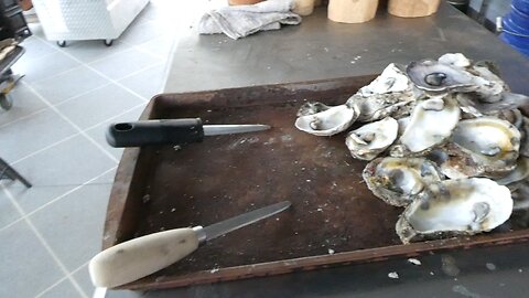 OYSTERS IN DECEMBER