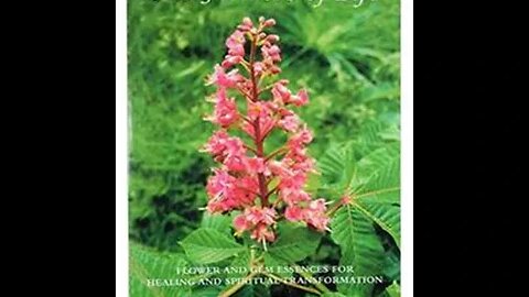 THE FLOWERS OF LIFE BOOK FLOWER AND GEM ESSENCES FOR HEALING AND SPIRITUAL TRANSFORMATION