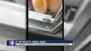 Man takes video of rodent running in food, beverage cooler of Detroit gas station