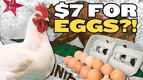 California Eggs Are Crazy Expensive