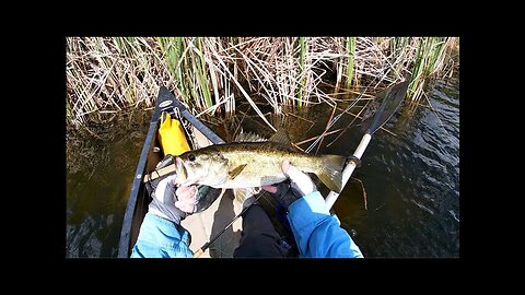 2021 02 It was a Bass Day in Snook Country Part 2