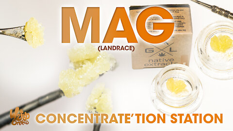 Gold Leaf Mag Landrace Raw Wax Review