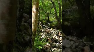 Steall waterfall path stream Scotland