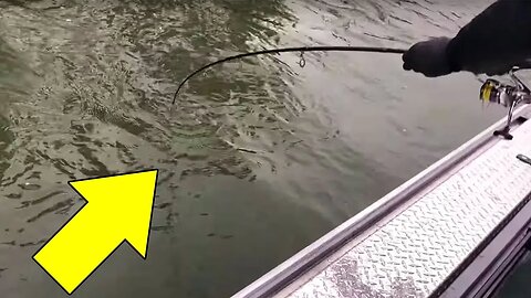 CRAZY UNEXPECTED FISHING CATCH! (RIVER MONSTER!!)