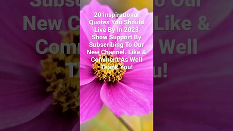 20 Quotes You Should Live By In 2023. #meditation #meditation #2023 #happynewyear #subscribe