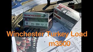 The Ultimate 12g Showdown: Stoeger m3500 Using Winchester Turkey 2 3/4" vs 3" - Who Wins?