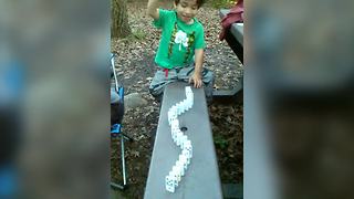 Toddler Boy Learns All About Domino Effect