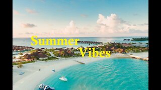 🌴Summer Vibes🌴Good Vibes Music🌼Relaxing Music🌼Positive Energy🌸Soothing Chill Out🌸Chill Lofi💮