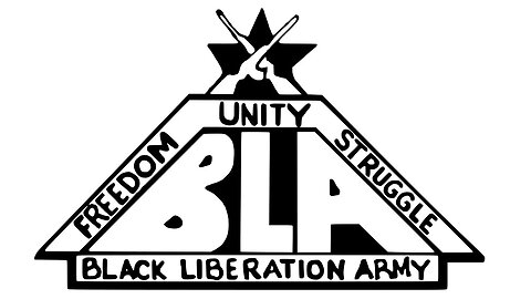 Outlaws & Gunslingers | Ep. 64 | Black Liberation Army