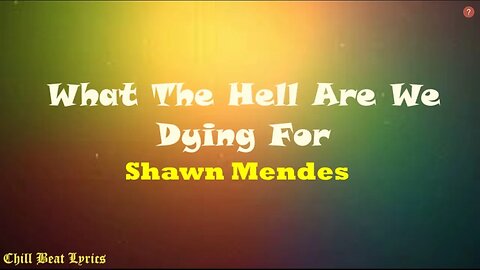 Shawn Mendes - What the hell are we dying for? (Lyrics Video) HD