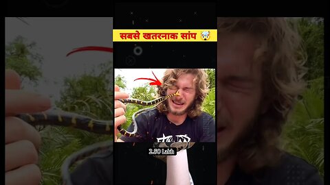 सबसे ख़तरनाक सांप 🤯 most dangerous snake | Intresting facts | #shorts #ytshorts #snake #facts