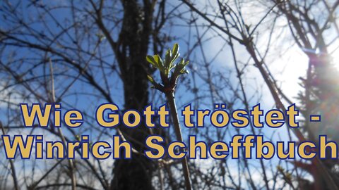 Wie Gott tröstet (Winrich Scheffbuch)