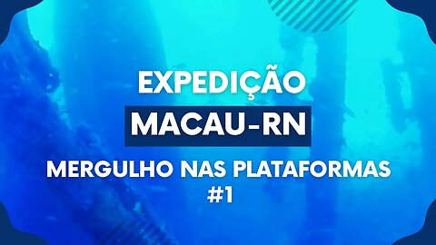 🎣 Expedição Macau-RN | Mergulho nas Plataformas 1 🌊🐟 #spearfishing #pescasub #pesca