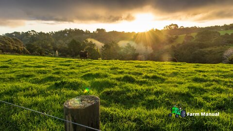 Farm | Relaxing Countryside 2