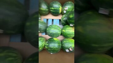 Sam’s Sweet Watermelons 🍉
