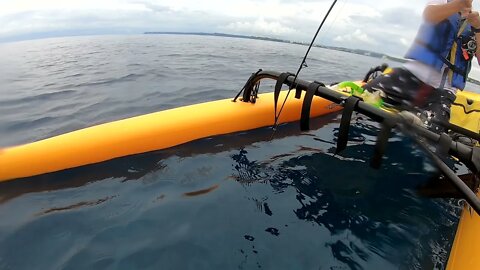 Hobie Tandem Island Bottom Fish Coffee Rig and Real Squid Trolling Rig 🇬🇺🇬🇺🇬🇺 Guam 092621