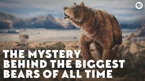 The Mystery Behind the Biggest Bears of All Time