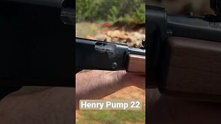 Henry Pump 22