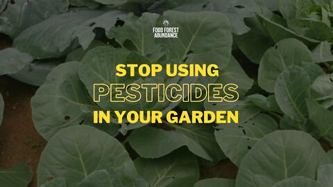 The truth about using pesticides in your garden