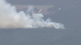 Buffalo Mountain Fire