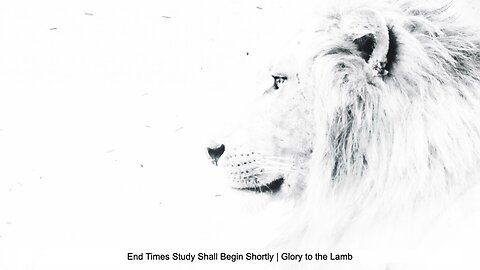 Last Times Study | Breakdown of the Beginning of Daniel