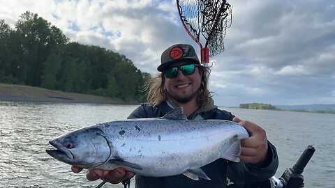 Anchor Fishing SPRING KING Salmon LIVE!