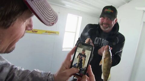 Walleye and Sauger on Lake of the Woods
