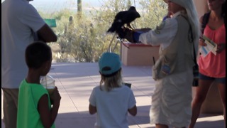 Visit Cool Summer Nights at the Desert Museum