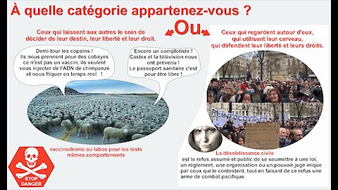 Covid-19 et le peuple : à quelle catégorie appartenez-vous?