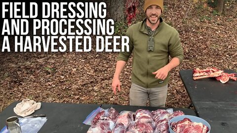 Field Dressing and Processing a Harvested Deer