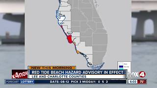New red tide warning in effect in Lee and Charlotte counties